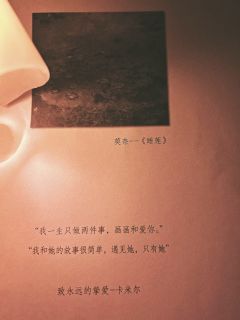 #藏进巴黎的一百个夏天
-花海,微光,和盛开的夏天(无用的黑