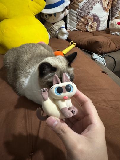 招财猫