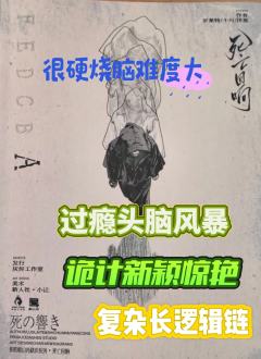 作为新年第一本推理本，真的是开了个好头！给今年硬核本打了个样