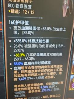 暗黑真好玩,新手上周刚买的游戏,建号死灵爆肝10天,暗黑核抄