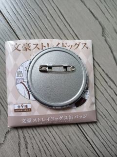 这个是正版吗，直播间买的