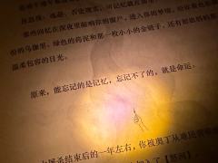 关于选角
测了三次,除了软件,还专门找店家心测了。
都不是黛