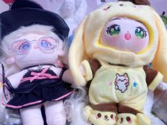 大家好，今天是一期爱豆棉花娃娃二创的教程
这次我选取了两个雨