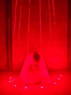 当青鸟叫响山谷,你就该知道,我在等你回家。
本场卡司:
戚