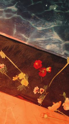 ⭐️亮点⭐️
沉浸式探案+近距离观演+紧凑剧情+悬疑反转+精