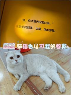 🍁综合体验8.1分🍁

📚弁言📚
1️⃣以上评分是综