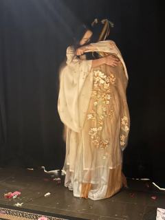 “有女同车,颜如舜华;
有女同行,颜如舜英。”
体验