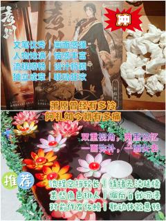 🍁综合体验8.2分🍁

📚弁言📚
1️⃣以上评分是综