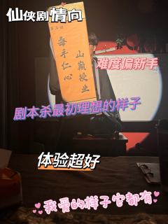 “天下第二美人破案奇妙之旅，你没有体验过的船旧版本。”

店