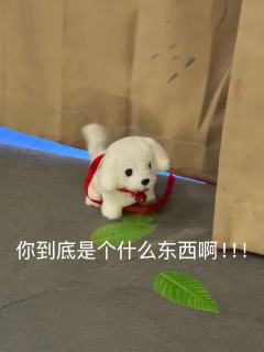 琼崖2天涯 |无剧透测评 含选角攻略+伴手礼
在泷麟发行店