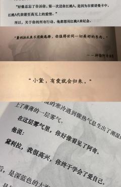 《流氓叙事》
奥丁——太阳
羌青瓷——卉卉
阿奇——小方
“