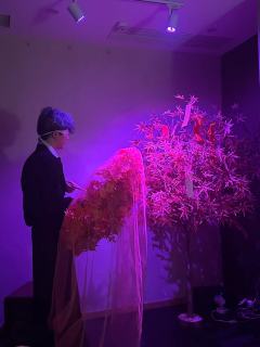 👑跌宕起伏天选若竹13h刺激璃火show
🏠店家:SO