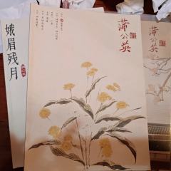 “蒲公英和萱草是最好的朋友，蒲公英可以远行的时候，萱草就落幕