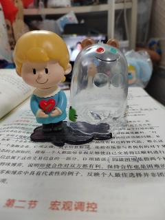 露露派nice
