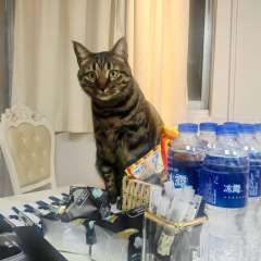 如果有一种仪器可以通过梦境进入他人的大脑，那么对于梦主而言，