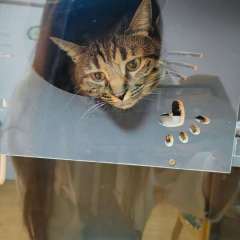 如果有一种仪器可以通过梦境进入他人的大脑，那么对于梦主而言，