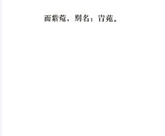 【含剧透】
“种一棵树最好的时间是十年前,其次是现在。”