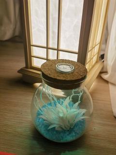 蟪蛄春秋
​类型：情感本（城限）
​推荐指数：推荐
时长：7