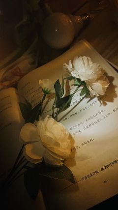 【含剧透】“你装饰了别人的梦”

体验剧本 蟪蛄春秋
体验店