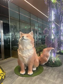 #双炽岛斩首诸因
🎯到底是抄袭还是致敬?!打完之后秉着谨慎