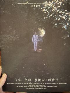 天鹅代表着另一种爱,跨越一切爱,即使超越时空超越生死,也要重