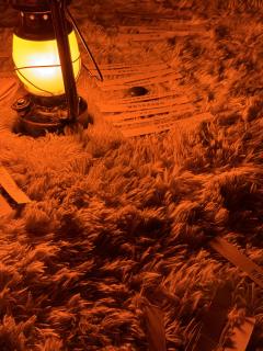 
冰冢亘古、永夜空明。
生命短暂喘息里，失去比鸿毛轻易。

