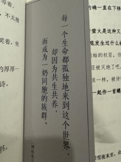 
冰冢亘古、永夜空明。
生命短暂喘息里，失去比鸿毛轻易。

