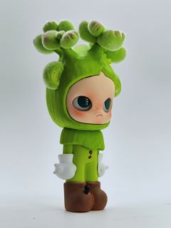 【Zsiga改娃-熊童子】
花园里新添置了两盆熊童子，似乎它