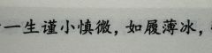 红树醉秋色，碧溪弹夜弦。
佳期不可再，风雨杳如年。


体验