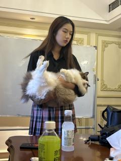 【含剧透】
搞笑版小猫岛,看到KAPPA就想笑,就当作欢乐本