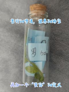 我用烛火点亮一次次永恒,却唯独,不包括你的样子。
体验:8.