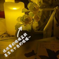 茉莉已二刷~无剧透版测评➕角色体验➕二刷圆梦记录
体验角色