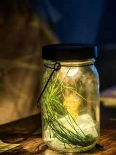 蟪蛄春秋

寒蝉：伊伊
玄驹：一姐

爱如浮木于海 
万水千