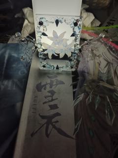 体验角色:雪衣,店家:侦言侦语
首先介绍一下自己,作为一个剧