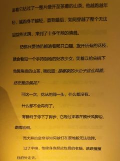 【含剧透】
游戏时长:8.5小时
剧本序数:NO.568