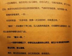 【含剧透】
游戏时长:8.5小时
剧本序数:NO.568