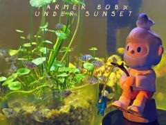 因为去海口偶然遇到的Bob特展喜欢上了小老头，又因为钓鱼佬�