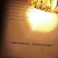 我定义你是盛夏的雨,是循环在我血管里的血液。
📚剧本类型