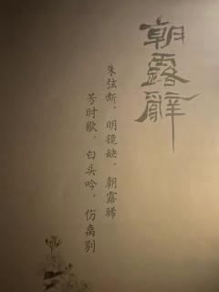 “只要有哥哥在,天底下你想去哪就带你去哪”
📖剧本:《朝