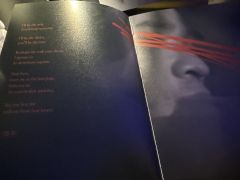 白昼救赎倒影,长夜相认魂灵。
我想成为他,却是她成就了我。