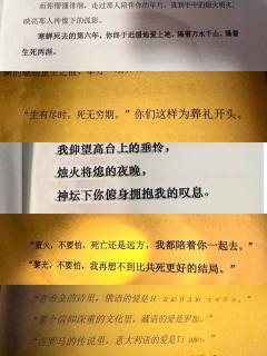 救大命了萤火到底好玩在哪里
店家dm给1⭐️
群像线给1⭐