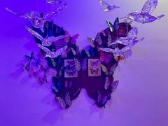 “我常常会梦见你,就算醒着也是”🌷
无需去区分究竟是现实还