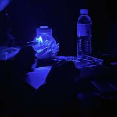 幻的光与影，爱的本与真
——
若你见我如众生，那作为你最普通