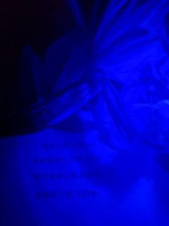 幻的光与影，爱的本与真
——
若你见我如众生，那作为你最普通