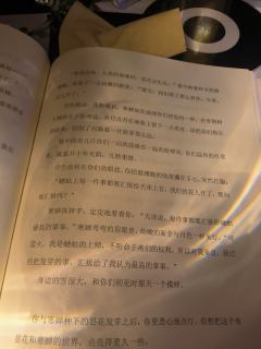 幻的光与影，爱的本与真
——
若你见我如众生，那作为你最普通