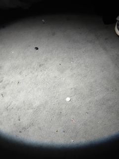 “殿下，在我心中，你可以成为最好的君主。”

dm:晴天 
