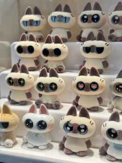 有点不太理解，拍的散盒异色款都凑齐了，为什么普款没齐？是搭配