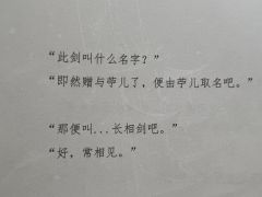 从六出祁山魂归故里的丞相,到独走孤臣之路的姜维,终于为东吴力