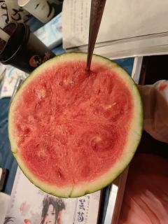 【含剧透】
“写尽九万字，落笔书一人。”

本场dm：楚岚潇