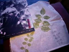 喜欢九州的一定要去打万仞！没有联动体验少一半！

每次看见说